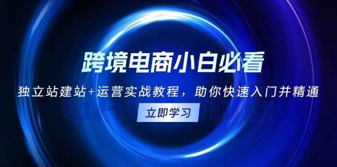 跨境电商小白必看！独立站建站+运营实战教程，助你快速入门并精通-必智轻创社