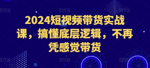 2024短视频带货实战课，搞懂底层逻辑，不再凭感觉带货-必智轻创社