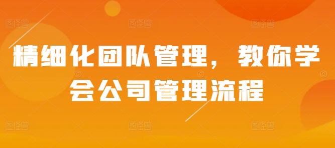 精细化团队管理，教你学会公司管理流程-必智轻创社