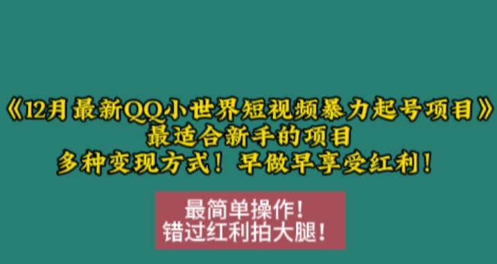 12月最新QQ小世界短视频暴力起号项目，最适合新手的项目，多种变现方式-必智轻创社