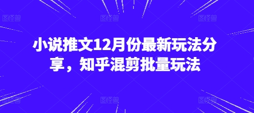 小说推文12月份最新玩法分享，知乎混剪批量玩法-必智轻创社