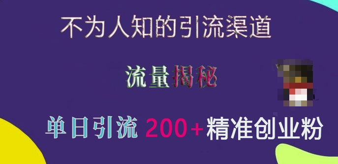 不为人知的引流渠道，流量揭秘，实测单日引流200+精准创业粉-必智轻创社