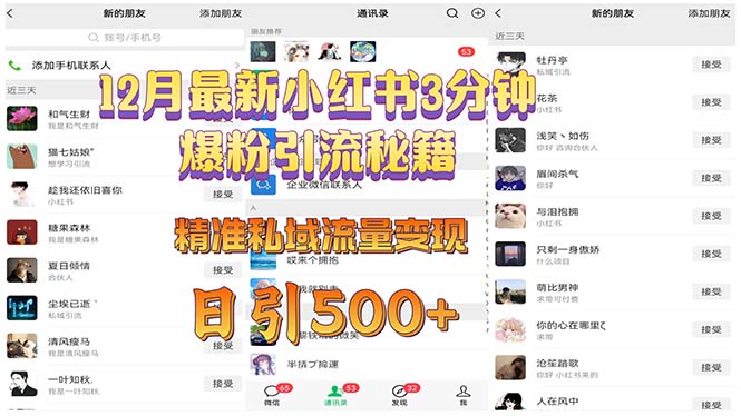 12月最新小红书3分钟爆粉引流秘籍 精准私域流量变现 日引500+-必智轻创社