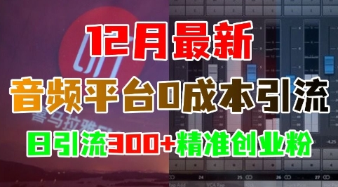 12月最新：音频平台0成本引流，日引流300+精准创业粉-必智轻创社