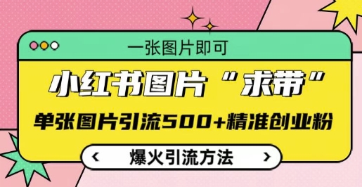 小红书图片‘求带’爆火引流法，单张图片引流500+精准创业粉-必智轻创社