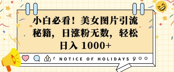 小白必看，美女图片引流秘籍，日涨粉无数，轻松日入几张-必智轻创社