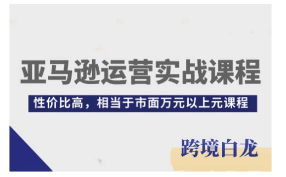 亚马逊运营实战课程，亚马逊从入门到精通，性价比高，相当于市面万元以上元课程-必智轻创社