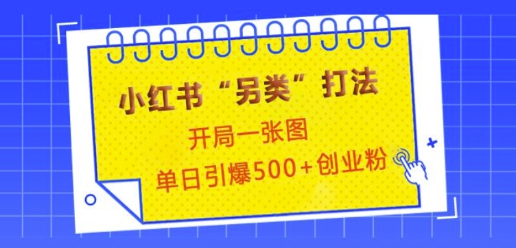 小红书“另类”打法，开局一张图，单日引爆500+精准创业粉-必智轻创社