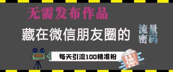藏在微信朋友圈的流量密码，无需发布作品，单日引流100+精准创业粉-必智轻创社
