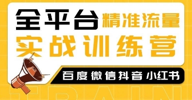 全平台精准流量实战训练营，百度微信抖音小红书SEO引流教程-必智轻创社