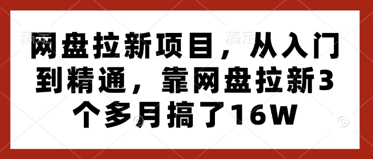 网盘拉新项目，从入门到精通，靠网盘拉新3个多月搞了16W-必智轻创社