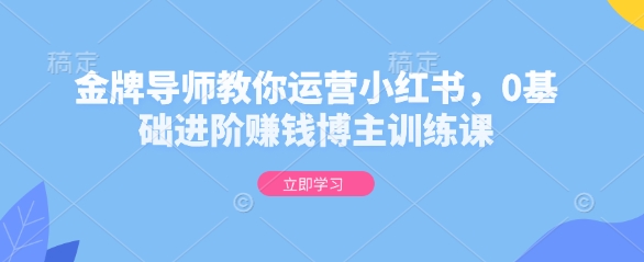 金牌导师教你运营小红书，0基础进阶赚钱博主训练课-必智轻创社