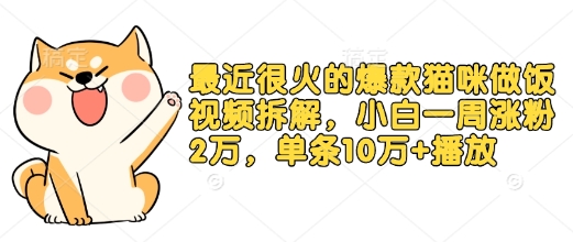 最近很火的爆款猫咪做饭视频拆解，小白一周涨粉2万，单条10万+播放(附保姆级教程)-必智轻创社