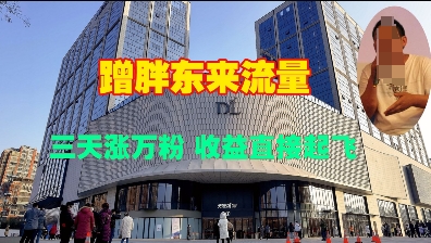 蹭胖东来流量，三天涨万粉，收益直接起飞-必智轻创社