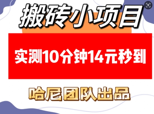 搬砖小项目，实测10分钟14元秒到，每天稳定几张(赠送必看稳定)-必智轻创社
