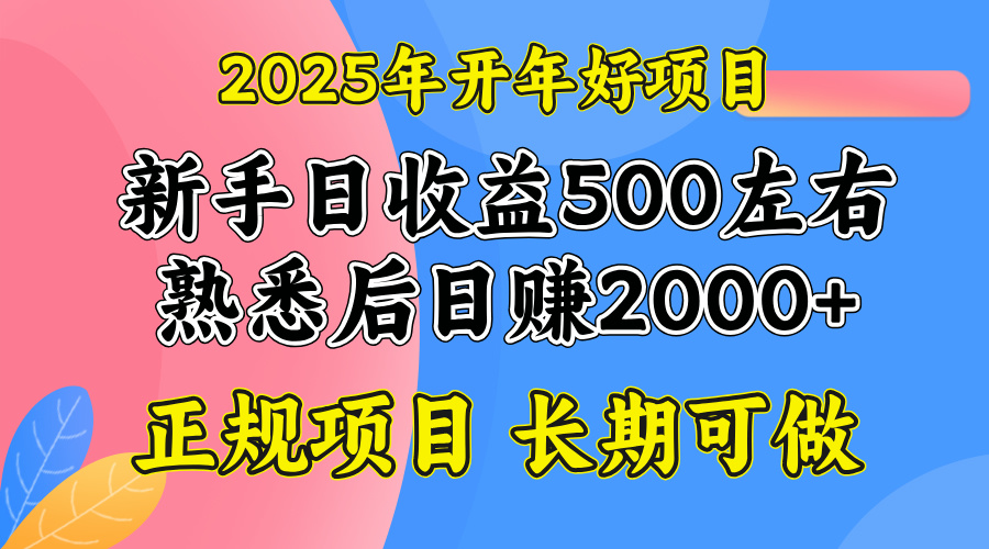 2025开年好项目，单号日收益2000左右-必智轻创社