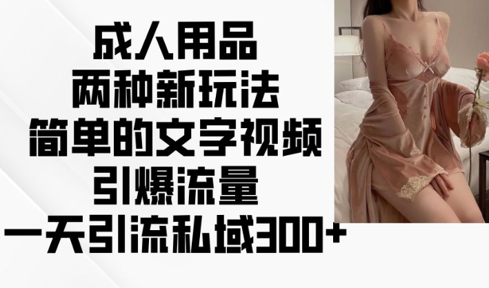 成人用品两种新玩法，简单的文字视频引爆流量，一天引流私域300+-必智轻创社