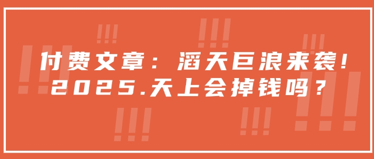 付费文章：滔天巨浪来袭！2025天上会掉钱吗？-必智轻创社