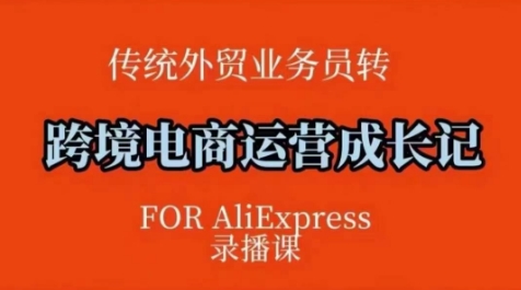 跨境电商速卖通运营课，​运营方法论+后台实操，逻辑清晰-必智轻创社