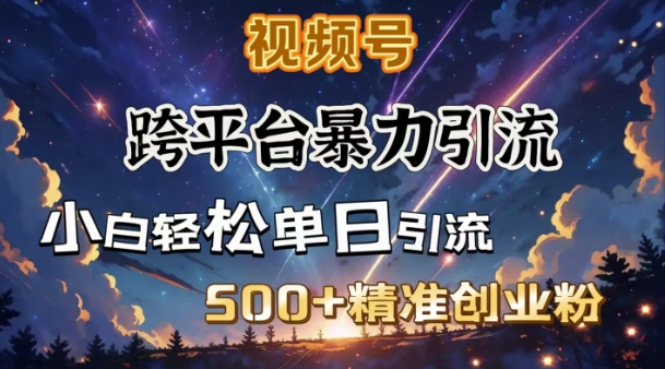 跨平台暴力引流，私域完美闭环，日引500+精准创业粉-必智轻创社