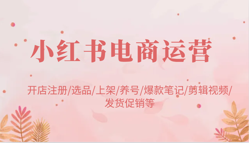 小红书电商运营：开店注册/选品/上架/养号/爆款笔记/剪辑视频/发货促销等-必智轻创社