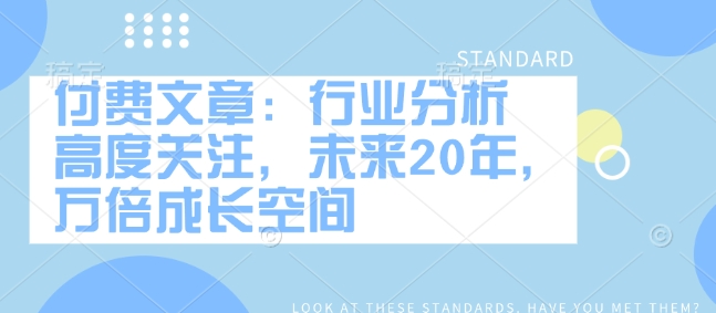 付费文章：行业分析 高度关注，未来20年，万倍成长空间-必智轻创社