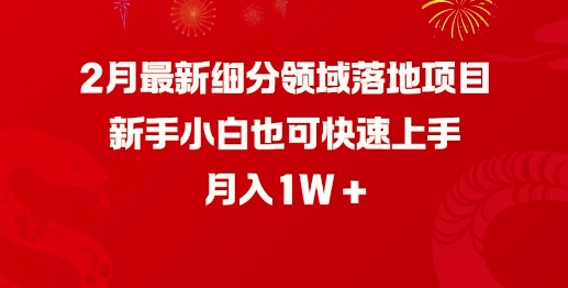2月最新细分领域落地项目，新手小白也可快速上手，月入1W-必智轻创社