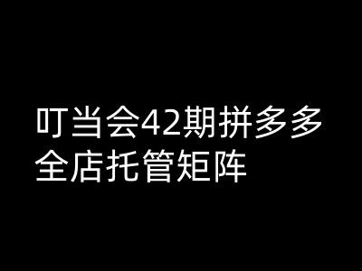 叮当会拼多多打爆班原创高阶技术第42期，拼多多全店托管矩阵-必智轻创社