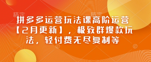 拼多多运营玩法课高阶运营【2月更新】，极致群爆款玩法，轻付费无尽复制等-必智轻创社