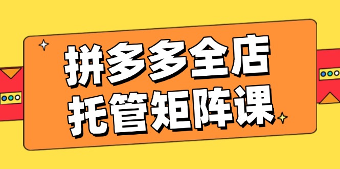拼多多全店托管矩阵课，盈利动销玩法，高效计划设置，提升店铺效益-必智轻创社