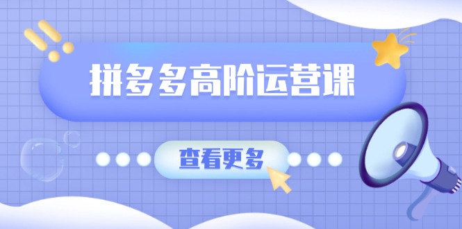 拼多多高阶运营课：极致群爆款玩法，轻付费无尽复制，打造单品爆款之路-必智轻创社