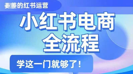 小红书电商全流程，精简易懂，从入门到精通，学这一门就够了-必智轻创社