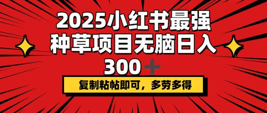 2025小红书最强种草项目，无脑日入300+，复制粘帖即可，多劳多得-必智轻创社