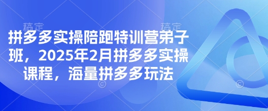 拼多多实操陪跑特训营弟子班，2025年2月拼多多实操课程，海量拼多多玩法-必智轻创社