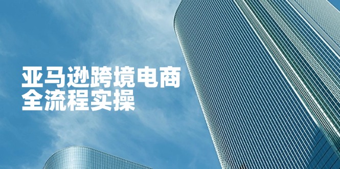 亚马逊跨境电商全流程实操，教你从零开始，掌握店铺运营与广告技巧-必智轻创社