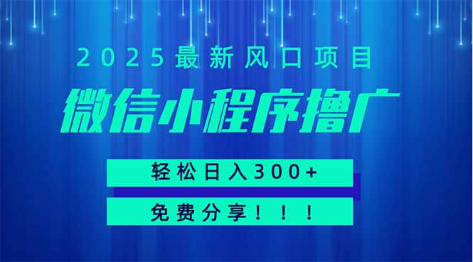 微信小程序撸广，最新风口项目，日入300+ 免费分享 可批量操作 小白可…-必智轻创社
