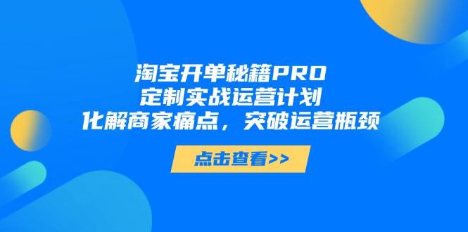 淘宝开单秘籍PRO，定制实战运营计划，化解商家痛点，突破运营瓶颈-必智轻创社