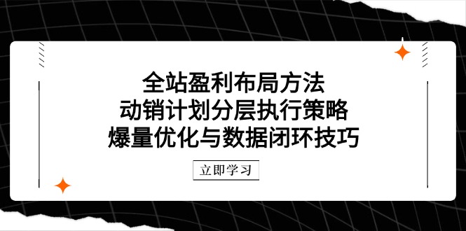 全站盈利布局方法：动销计划分层执行策略，爆量优化与数据闭环技巧-必智轻创社