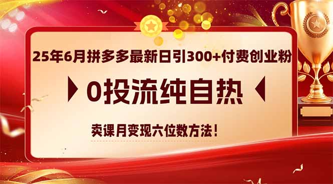 25年6月拼多多最新日引300+付费创业粉，0投流纯自热 卖课月变现六位数方法-必智轻创社