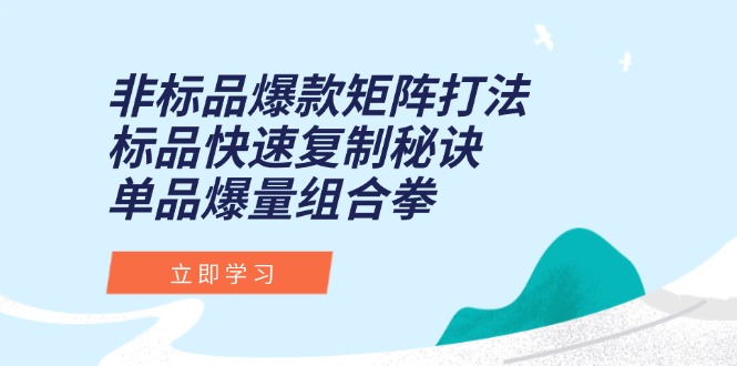 非标品爆款矩阵打法，标品快速复制秘诀，单品爆量组合拳-必智轻创社