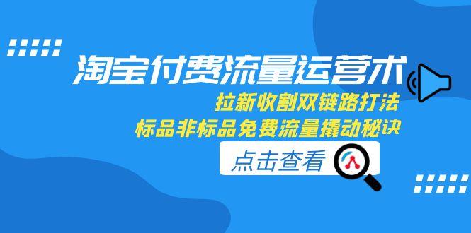 淘宝付费流量运营术，拉新收割双链路打法，标品非标品免费流量撬动秘诀-必智轻创社
