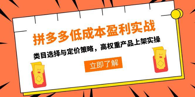 拼多多低成本盈利实战，类目选择与定价策略，高权重产品上架实操-必智轻创社
