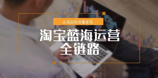 淘宝蓝海运营全链路，从选品到流量变现，小类目突围完整方案-必智轻创社