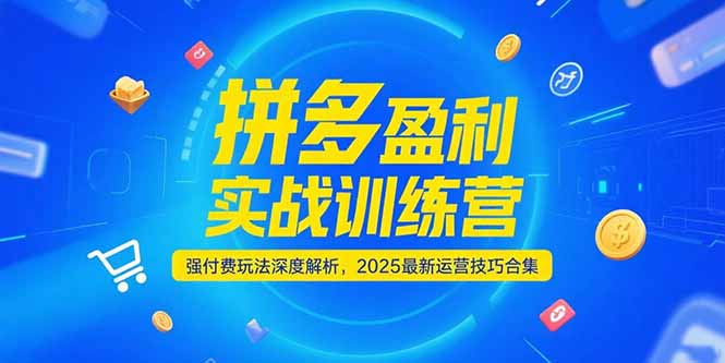 拼多多盈利实战训练营，强付费玩法深度解析，2025运营技巧合集-更新6月-必智轻创社