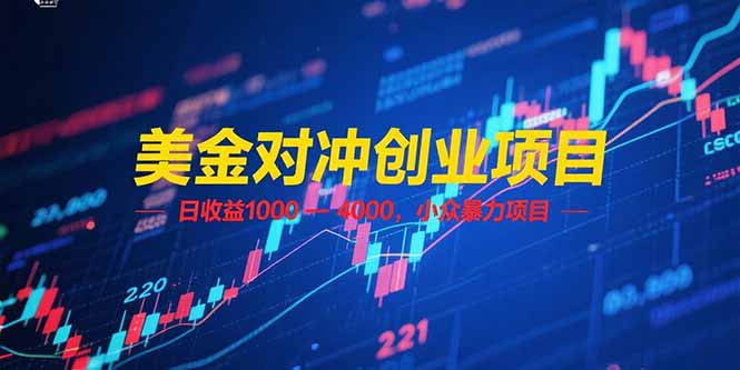 美金对冲创业项目，日收益 1000 – 4000，小众暴力项目-必智轻创社