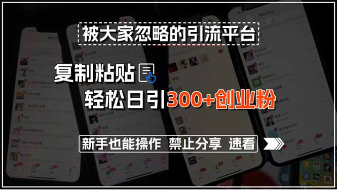 被大家忽略的引流平台，复制粘贴轻松日引300+创业粉，新手也能操作，禁…-必智轻创社