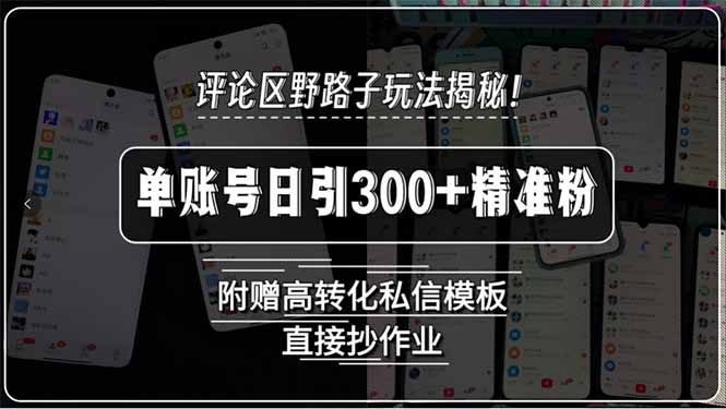 评论区野路子玩法揭秘！单账号日引300+精准粉，附赠高转化私信模板，直…-必智轻创社