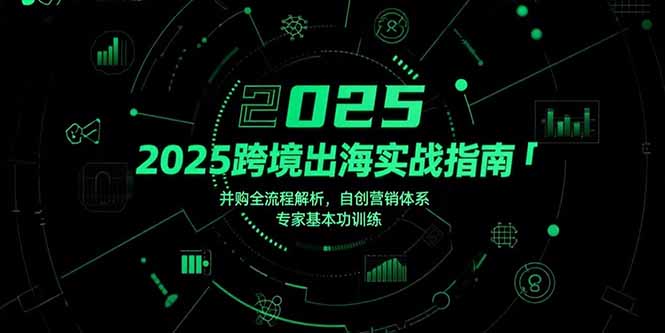 2025跨境出海实战指南，并购全流程解析，自创营销体系，专家基本功训练-必智轻创社
