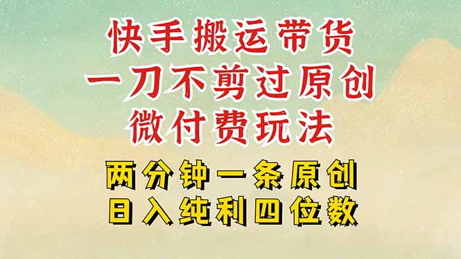 快手黑科技搬运带货，一刀不剪过原创，微付费投流玩法，轻松日入四位数…-必智轻创社