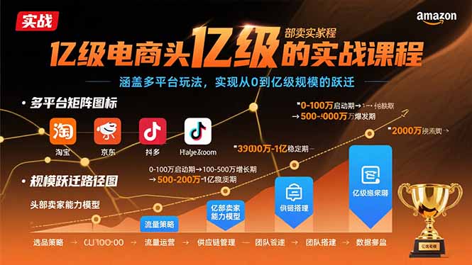 亿级电商头部卖家的实战课程：涵盖多平台玩法，实现从0到亿级规模的跃迁-必智轻创社